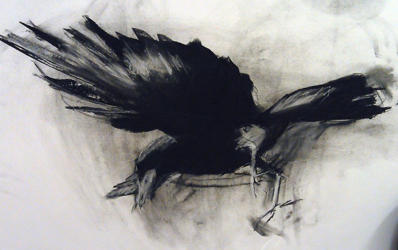 crow